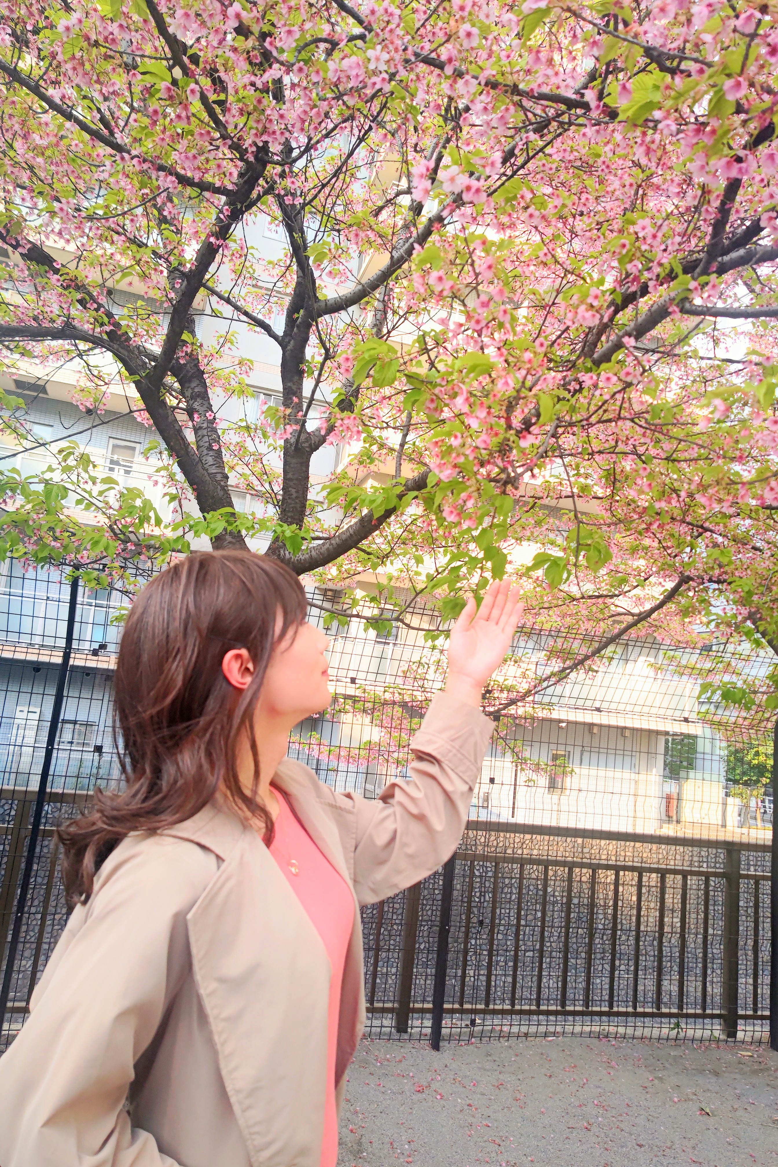 桜最高ー!! 桜最高ー!!
